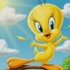 tweetystreasure